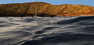 Molokini Morning
