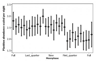Zooplankton abundance