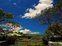 Picture of Bali Indonesia