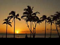 Picture of Maui Sunset